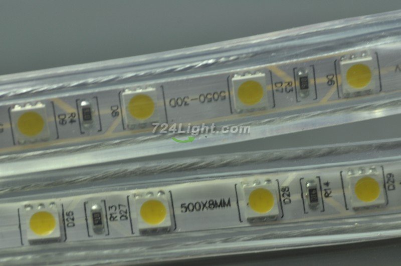5050 RGB 110V 120V 220V 230V LED Strip Rope Light 12MM 60LED 1M SMD 5050 RGB LED Strip Lights