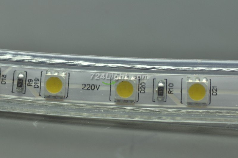 5050 RGB 110V 120V 220V 230V LED Strip Rope Light 12MM 60LED 1M SMD 5050 RGB LED Strip Lights