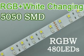 RGBW LED strip light Double 5050 RGB Color Changing White Color Flexible LED Light Strip DC24V (16.4ft )480LEDs