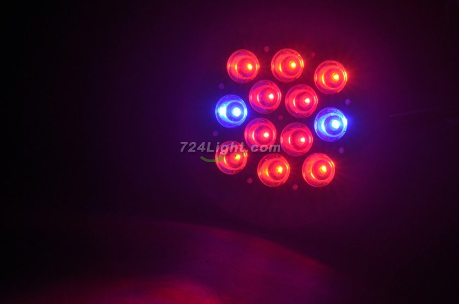 7W 9W 12W 15W E27 LED Bulb Grow Lamp Red & Blue LED Plant Grow Lamp Light Bulbs for Flowering Plant And Hydroponics - Click Image to Close