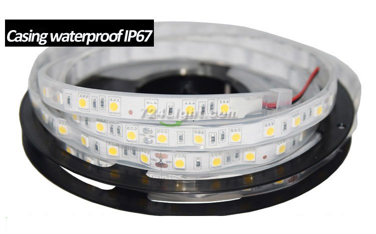 12V5050 BARE BORAD LED STRIP LIGHT 60LEDS/METER 12V5050 LOW VOLTAGE HIGH BRIGHTNESS STRIP LIGHT 5M (16.4FT) 300LEDS 5050STRIP LIGHTSS