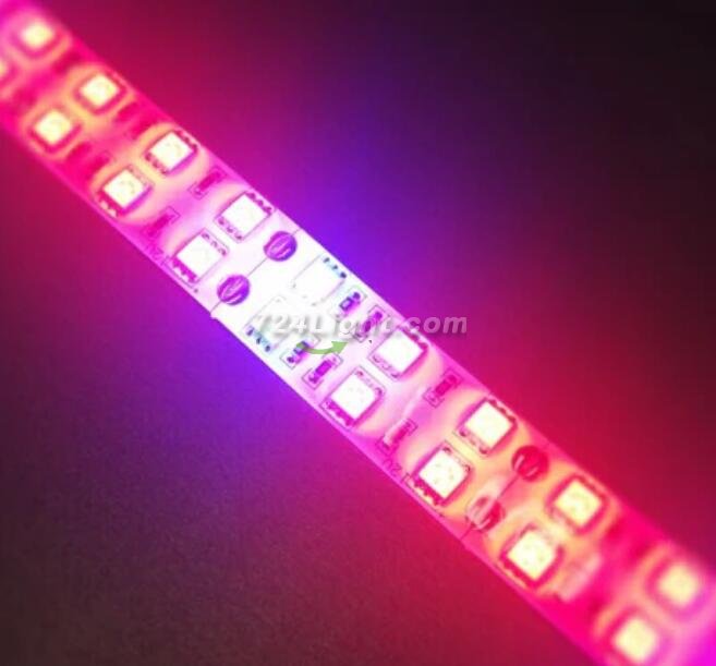 Plant Growth RED:BLUE /660nm:460nm LED Grow Light SMD5050 120LEDs 12V 28.8W Per Meter 15mm Width Strip