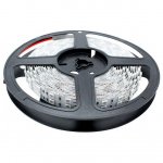 365nm 370nm SMD5050-600 12V 12A 144W UV LED Strip Light for Curing, Currency Validation