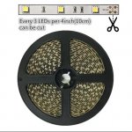 DC 12V Red/Blue/Green/Yellow Dimmable SMD5050-150 Flexible LED Strips 30 LEDs Per Meter 10mm Width 450lm Per Meter