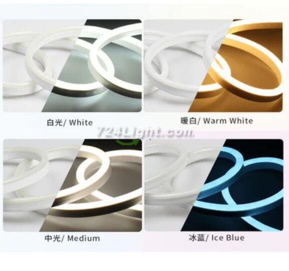 65.6FT (20Meters) LED Neon Rope Lights 8x16(mm) Neon LED Strip Lights 8Watt 120LEDs/M Flexibl 110V/220V AC Rope Lights Waterproof, Custom Cuttable Neon Lighting for In&Outdoor