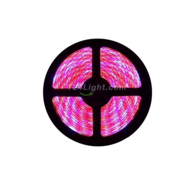 Plant Growth RED:BLUE /660nm:460nm LED Grow Light SMD2835 60LEDs 12V 12W Per Meter Strip