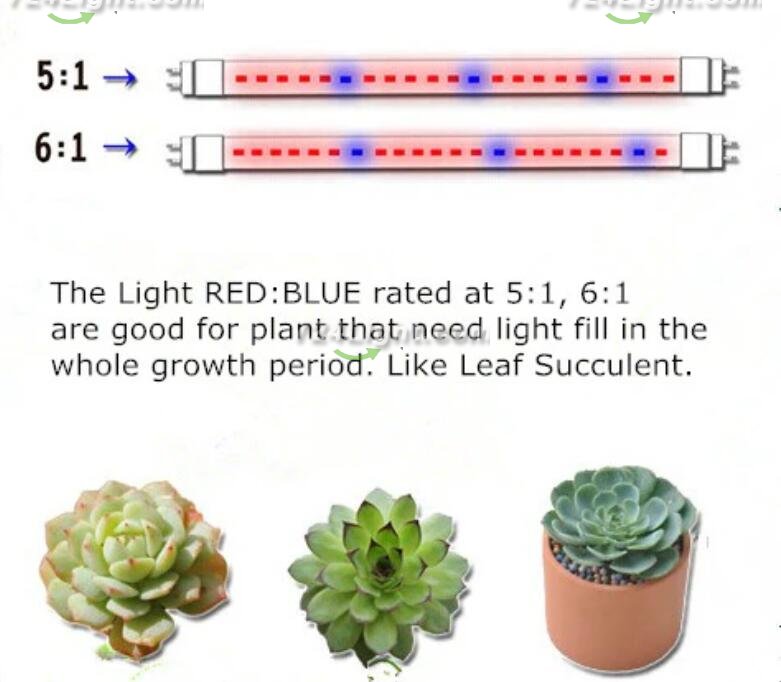Plant Growth RED:BLUE /660nm:460nm LED Grow Light SMD2835 120LEDs 12V 24W Per Meter Strip