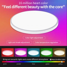 2 Pack 24W 12'' Smart RGBCW Ceiling Light Fixtures RGB Color Changing, 2700K-6500K Adjustable with Dimmable Brightness, Compatible with Alexa/Google Home/APP Control WiFi Light for Bedroom/Kid's Room/Party