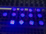 12W LED Grow Light Lamp E27 Base 2 Band Wavelenth Mix 12 LED Growing Bulbs For Stocky Plants At Seedlings Stage of Growth, Germinating Vegetable Seeds, Mini Potted Succulent/Faux Plant