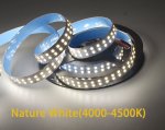 12V 2835LED DOUBLE ROW STRIP LIGHT 240LEDS/METER 12V2835 LOW VOLTAGE HIGH BRIGHTNESS STRIP LIGHT 5M (16.4FT) 2835STRIP LIGHTSS