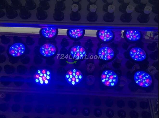 12W LED Grow Light Lamp E27 Base 2 Band Wavelenth Mix 12 LED Growing Bulbs For Stocky Plants At Seedlings Stage of Growth, Germinating Vegetable Seeds, Mini Potted Succulent/Faux Plant