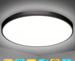 2 Pack 12 Inch 24W Flush Mount LED Ceiling Light 2800 LM Black Round LED Ceiling Lamp