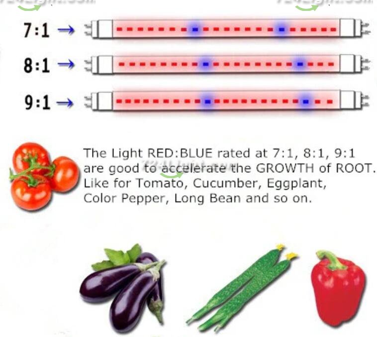 Plant Growth RED:BLUE /660nm:460nm LED Grow Light SMD5050 120LEDs 12V 28.8W Per Meter 15mm Width Strip