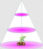 Plant Growth RED:BLUE /660nm:460nm LED Grow Light SMD5050 30LEDs 12V 7.2W Per Meter Strip