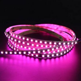 8mm RGB LED Strip Lights, 16.4FT/5Meter SMD4040 600LEDs/Roll, DC24V