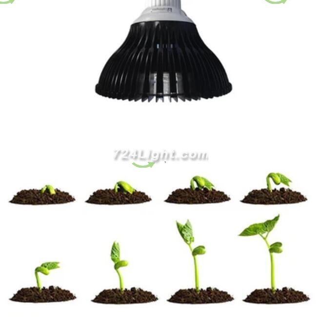 12W LED Growing Lamp E27 Base 4 Bands Plant Growing Bulb for Plant Works Best with Seeds through Flowering, Indoor Garden Greenhouse, Hydroponics and Aquatic Systems