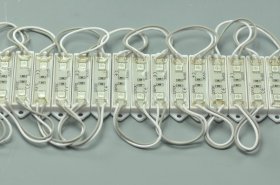 5050 SMD LED Modules 5050 2 LED Modules 45x12MM 12V 0.5W Waterproof IP65 Modules