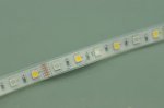 RGB White LED Strip light IP68 5050SMD Color change with white color 5meter(16.4ft) 300LEDs