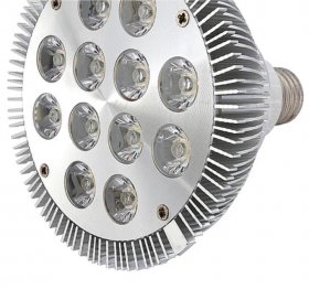 12W (12x1W) PAR38 LED Lamp with E27 Edison Screw Base 90W Equivalent 100-240V AC Silver Housing Indoor Type
