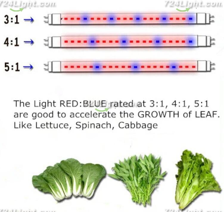 Plant Growth RED:BLUE /660nm:460nm LED Grow Light SMD2835 60LEDs 12V 12W Per Meter Strip