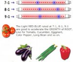 Plant Growth RED:BLUE /660nm:460nm LED Grow Light SMD5050 30LEDs 12V 7.2W Per Meter Strip