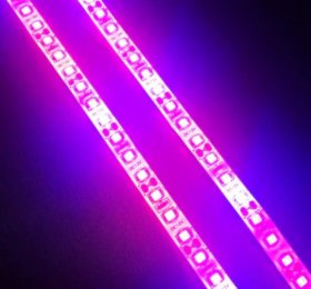 Plant Growth RED:BLUE /660nm:460nm LED Grow Light SMD2835 120LEDs 12V 24W Per Meter Strip