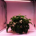 LED Grow Light Strip Kit with Full Spectrum LEDs, 36W IP65 Waterproof Dimmable LED Plant Grow Light Bar for Germination, Growth and Flowering