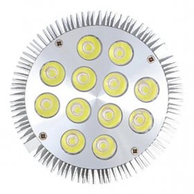 12W (12x1W) PAR38 LED Lamp with E27 Edison Screw Base 90W Equivalent 100-240V AC Silver Housing Indoor Type