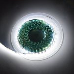 12V LED BARE BOARD SMART PHONE CONTROL STRIP LIGHT 600LEDS/METER HIGH BRIGHTNESS STRIP LIGHT 5M (16.4FT) STRIP LIGHTS