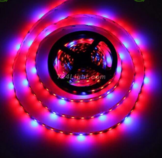 Plant Growth RED:BLUE /660nm:460nm LED Grow Light SMD5050 60LEDs 12V 14.4W Per Meter Strip