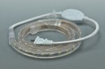 SMD5050 AC 110V Strip Light 12MM 60LED 1M 5050 Single Color High Voltage Rope Light(1-100meters)