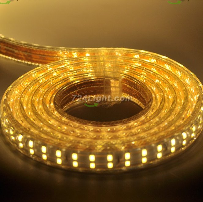 Double Row SMD 2835 AC 110V Strip 220V Strip 240V Strip Light 12MM 120LED 1M 5050 Single Color High Voltage Rope Light(1-100meters) - Click Image to Close