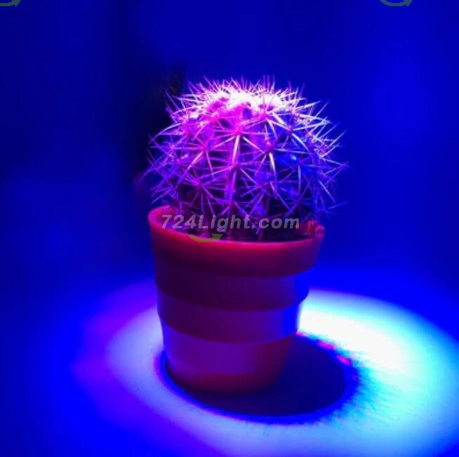 12W LED Grow Light Lamp E27 Base 2 Band Wavelenth Mix 12 LED Growing Bulbs For Stocky Plants At Seedlings Stage of Growth, Germinating Vegetable Seeds, Mini Potted Succulent/Faux Plant