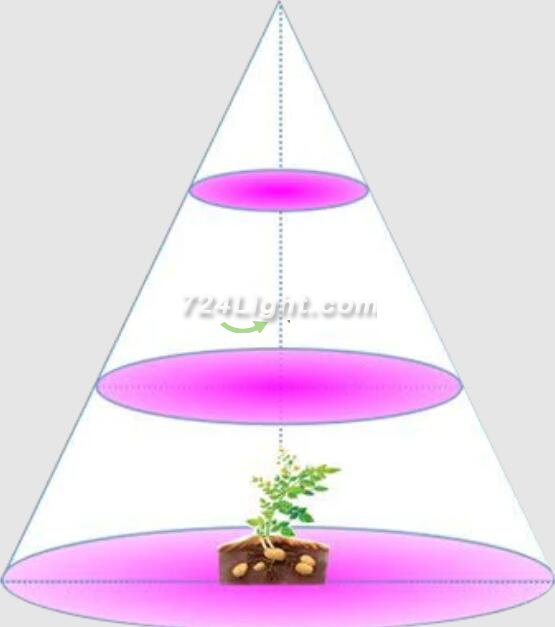 Plant Growth RED:BLUE /660nm:460nm LED Grow Light SMD2835 120LEDs 12V 24W Per Meter Strip