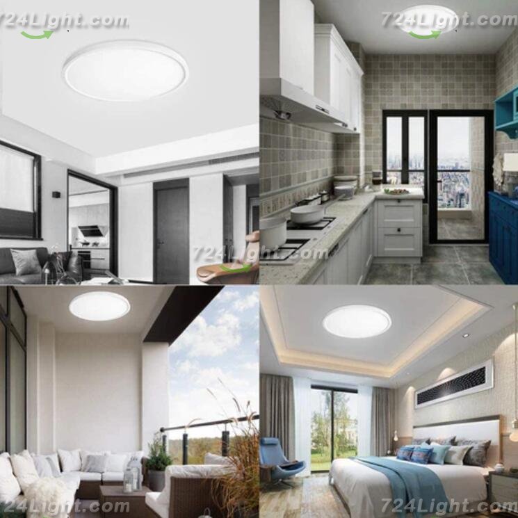 12 Inch 24W Flush Mounting Modern LED Ceiling Lights for Bedroom, Kitchen, Bathroom