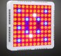 300W AC85-265V 1000LM Full spectrum led grow light with cooler fan for indoor hydroponic plant