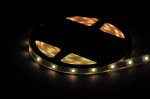 RGB White LED Strip light IP68 5050SMD Color change with white color 5meter(16.4ft) 300LEDs