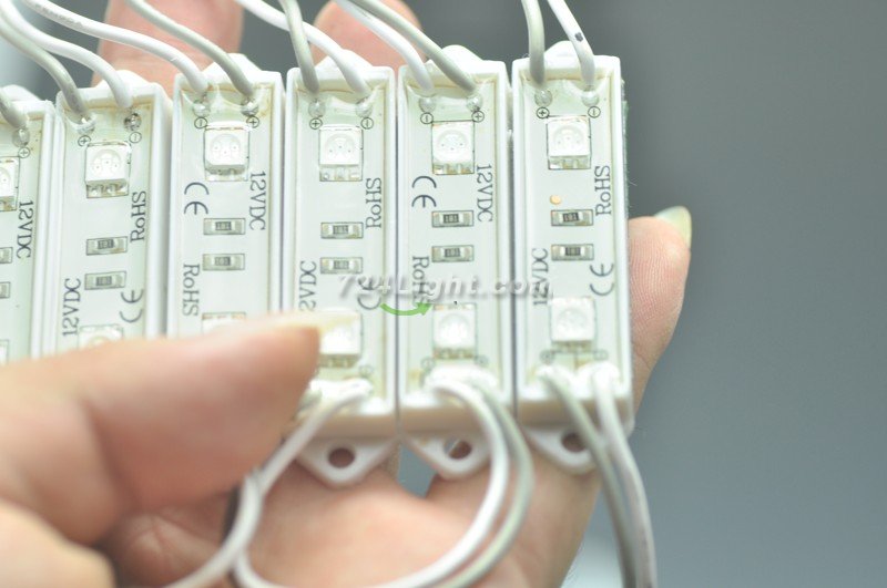 5050 SMD LED Modules 5050 2 LED Modules 45x12MM 12V 0.5W Waterproof IP65 Modules