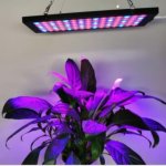 Black Oblong 40W AC85~265V LED Grow Light for Indoor Plant, Full Spectrum Panel Grow Light with IR UV, Indoor Plant Growing Lamp for Succulents, Veg and Flowering/Greenhouse Hydroponic
