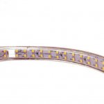 AC 110V 220V SMD2835 High Voltage Flat Strip Light 180 LEDs Per Meter Double Row with the power plug