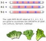 Plant Growth RED:BLUE /660nm:460nm LED Grow Light SMD5050 120LEDs 12V 28.8W Per Meter 15mm Width Strip