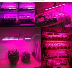10Pcs 1/2/3/4 Ft LED Tube T5 Grow Light Red/Blue Spectrum(R:B=5:1) Clear Lens for Indoor Plant Veg and Flower Hydroponic Greenhouse Growing Bar Light
