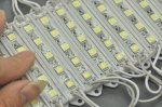 LED Module Light 5050 SMD 75x12MM 12V 1.25W 5LEDs 5050 LED Modules Waterproof Modules