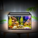 Aquarium LED Light for Freshwater Fish Tank w/ Extendable Bracket, White Blue LED