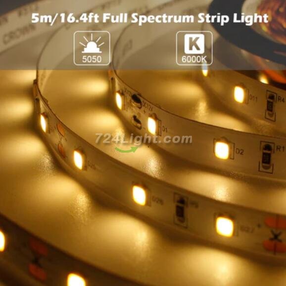 16.4FT 5Meter SMD5050 300LED 12V 60W True Color CRI95+ Full Spectrum Natural Light LED Strip Light