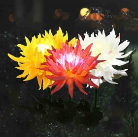 Outdoor Solar Garden Stake Lights, 3 Pack Chrysanthemum Flower Lights, IP66 Waterproof LED Decorative