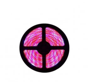 Plant Growth RED:BLUE /660nm:460nm LED Grow Light SMD3528 240LEDs 12V 24W Per Meter Strip