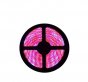 Plant Growth RED:BLUE /660nm:460nm LED Grow Light SMD3528 240LEDs 12V 24W Per Meter Strip