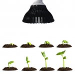 12W LED Growing Lamp E27 Base 4 Bands Plant Growing Bulb for Plant Works Best with Seeds through Flowering, Indoor Garden Greenhouse, Hydroponics and Aquatic Systems