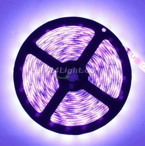 380nm 385nm SMD5050-150 12V 3A 36W UV LED Strip Light for UV Curing Currency Validation